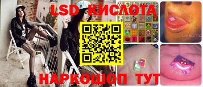 шишки Тверь