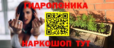 спиды Татарск