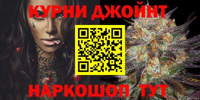 шишки Тверь