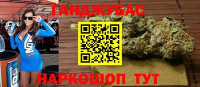 шишки Тверь