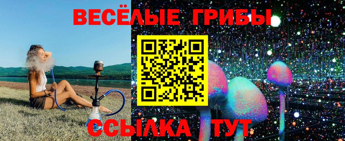 Новокубанск  закладки  Вход с VPN  Псилоцибиновые грибы мухоморы 